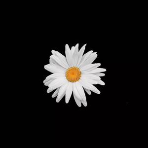 日本美女亚洲人尿尿
